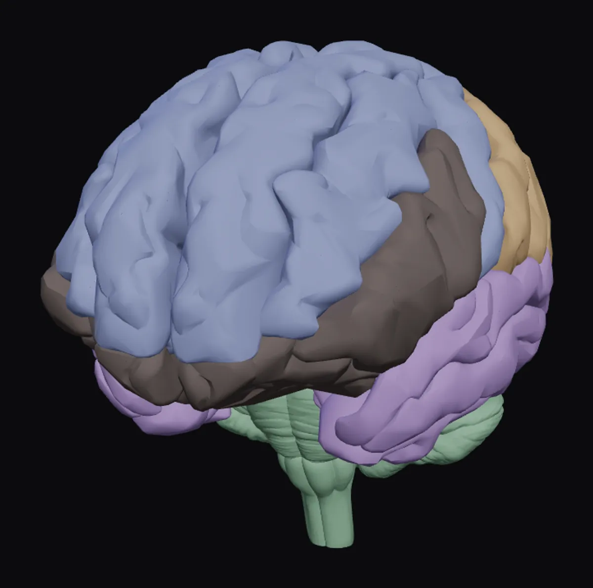 A 3D anatomical brain. Its regions link to the sections of this site.